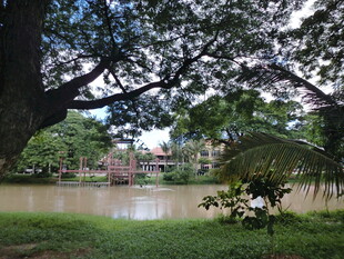 湖畔绿荫下的静谧景致