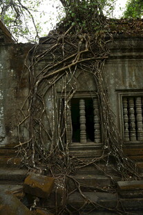 古老废墟被藤蔓缠绕的景象