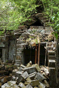 废弃老屋 绿植环绕的残垣