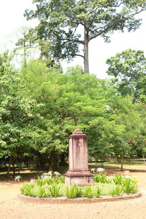 公园中的纪念碑景观