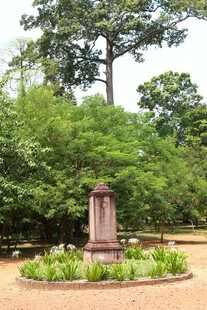 林中纪念碑 静谧自然景致