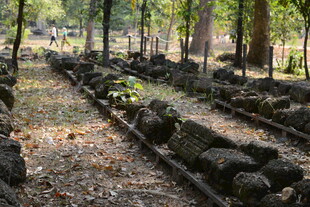 古老树林中的石像遗迹