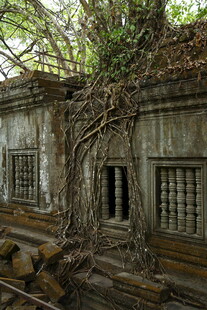 古老废弃建筑被藤蔓覆盖