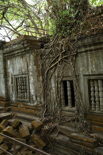 古老废墟被藤蔓缠绕的建筑