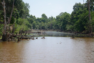宁静河畔的自然景致