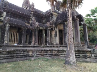 古老寺庙旁的高大棕榈树