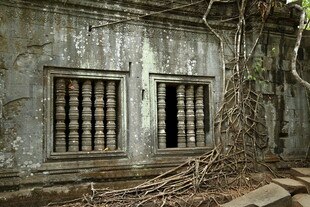 废弃老屋 藤蔓缠绕窗户