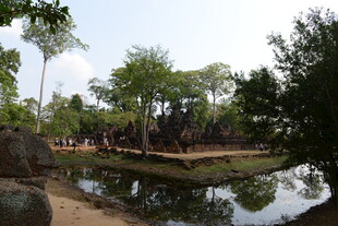 静谧池塘边的繁茂树林