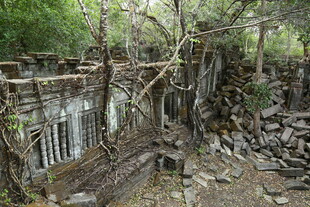 废弃建筑被藤蔓缠绕