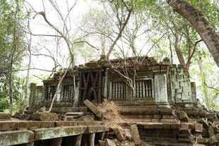 废弃木屋被绿植缠绕