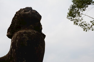 古老石狮 尽显历史沧桑