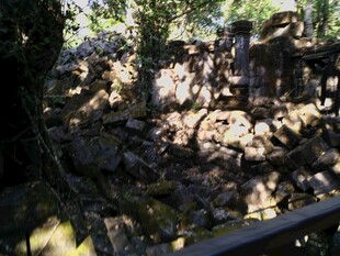 林间废墟 光影斑驳的遗迹