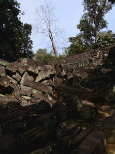古老石堆旁的繁茂树林
