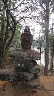 古老丛林中的神秘佛像