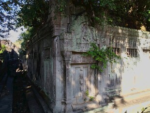 古老石墙与攀附绿植