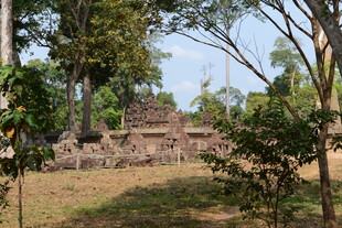 丛林中的古老遗迹