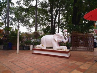 庭院中的白色大象雕塑
