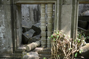 古老废墟中的自然与遗迹