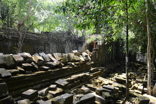 古老石堆与繁茂树林景观