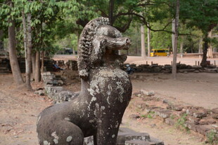 古老石兽坐于林间