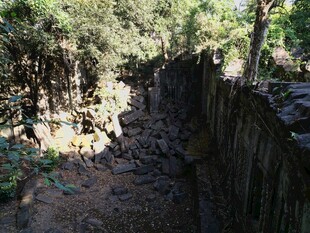 古老石墙旁的繁茂树林