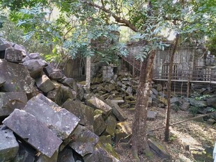 林间石堆 自然静谧之景