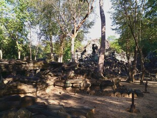 古老废墟中的静谧树林