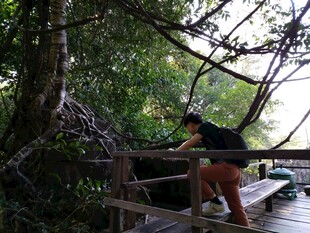 女子于繁茂树林中休闲观景