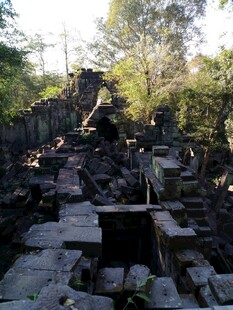 古老废墟隐于茂密树林中