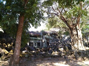 柬埔寨丛林中的古老建筑遗迹