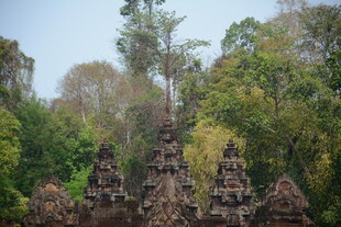 古老寺庙隐于茂密丛林中