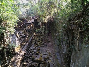 废弃铁轨 绿植环绕的静谧之地