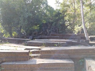 柬埔寨古老石阶与繁茂树林景观