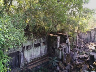 柬埔寨废弃石屋隐于繁茂绿植中