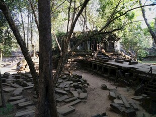 柬埔寨林间废墟景象