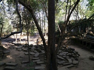 柬埔寨林间散落石块的静谧场景