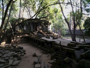 柬埔寨丛林中的古老遗迹景观