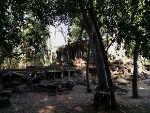 柬埔寨林间静谧小屋