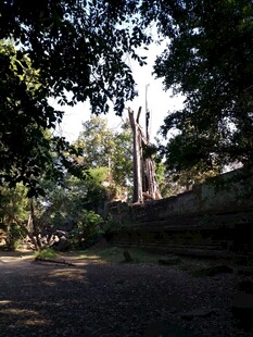 柬埔寨林间静谧小道 自然景致