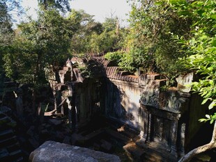 柬埔寨古老丛林中的神秘寺庙遗迹