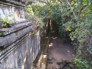 柬埔寨古老石墙旁的林间小径