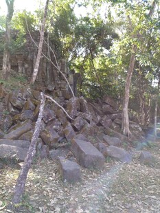 柬埔寨林间小径旁的岩石与树木