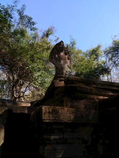 柬埔寨古老石像立于繁茂树木间
