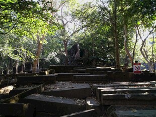 柬埔寨丛林中的古老遗迹