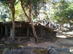 柬埔寨古老树林中的石砌遗迹