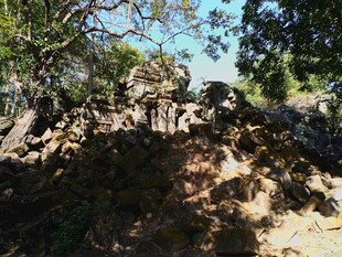 柬埔寨林间光影斑驳的自然景致