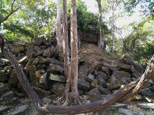 柬埔寨山间枯木与石堆景观