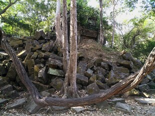 柬埔寨古老船锚静置于丛林之中