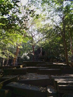 柬埔寨森林中的古老石阶遗迹