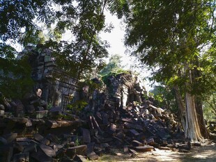 柬埔寨古老石堆与繁茂树木景观